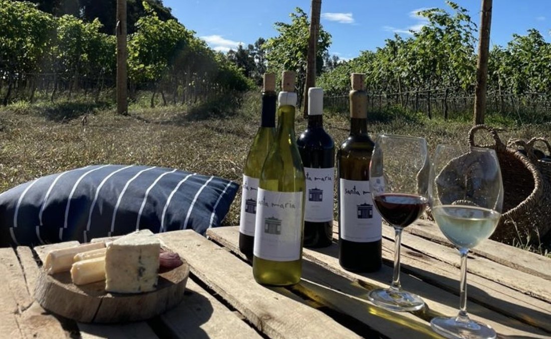 Vinhos produzidos em Morro do Chap&eacute;u, na Chapada Diamantina